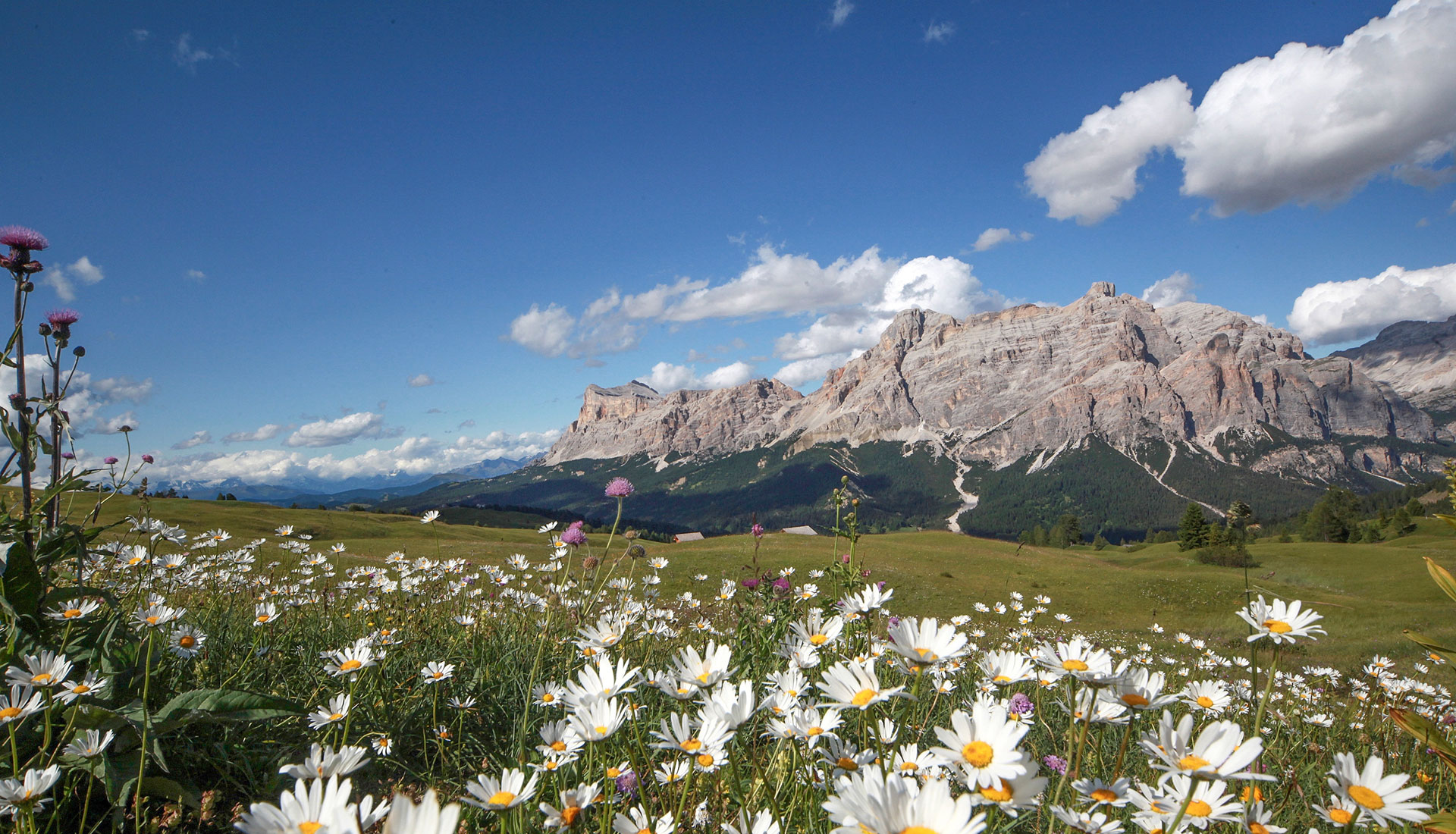 Bilder Corvara Sommer